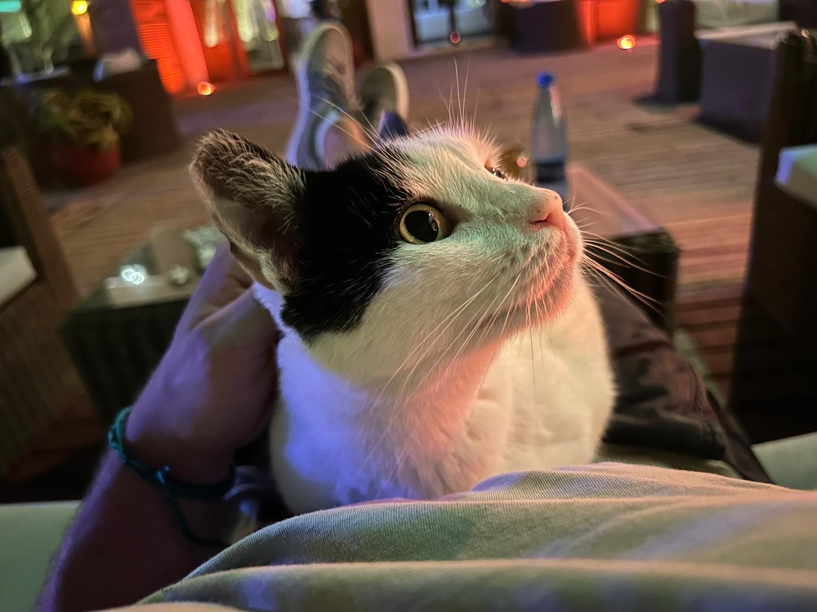 45f3b192-5a4f-4dee-a5a9-3b19a83d40a0