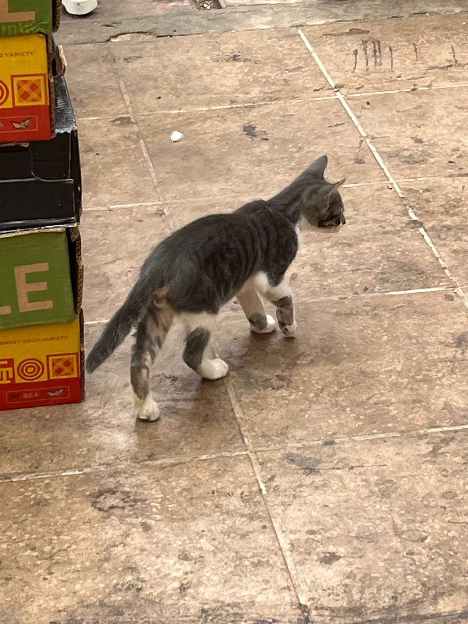 5041d0e5-3d80-4f54-92bd-a7ef6575a396