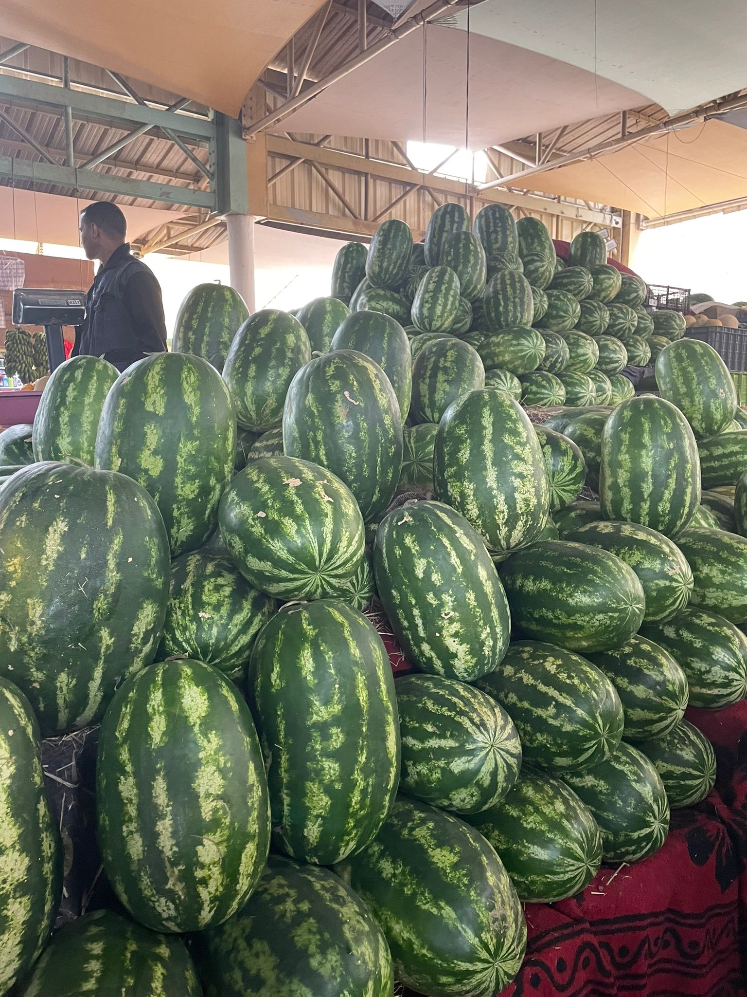 74637a5a-e67a-4730-a5c6-dbe6303d3487